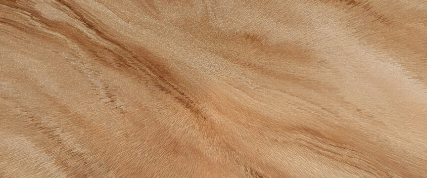 Fresh plowed field in dry farmland with soil rows