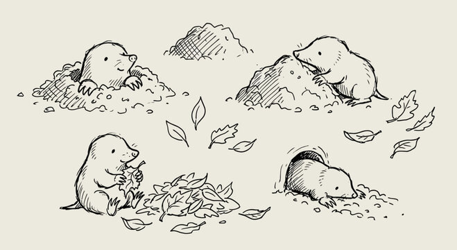 Cute mole illustration set, digging and playing in soil and leaves.
