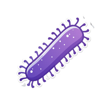 Purple Rod-Shaped Microorganism with Appendages