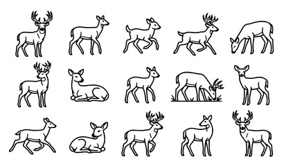 Collection of whitetail deer outline icons in various poses including running grazing and lying down vector line design elements © Abddulah