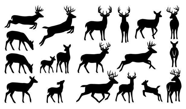 Set of whitetail deer silhouettes with fawn including running jumping grazing and standing poses black vector design elements