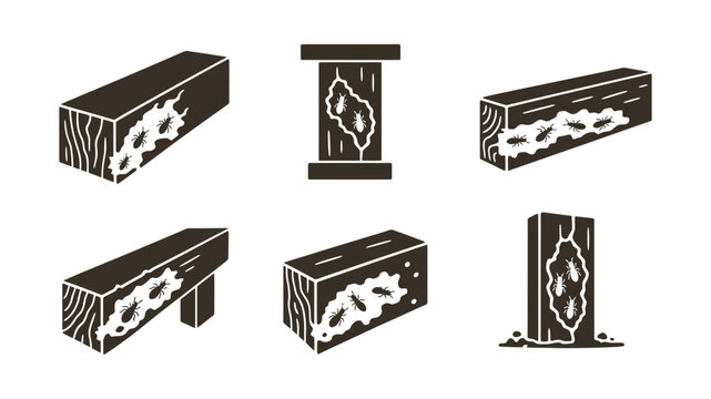 Icon set depicting termite infestation and structural timber damage in building materials
