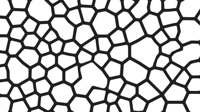 Voronoi pattern background abstract organic cell structure black line mesh on transparent background. Vector illustration