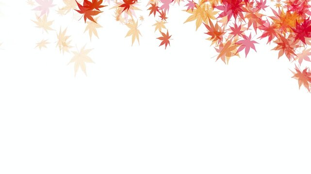 Falling Autumn Maple Leaves Border 4K