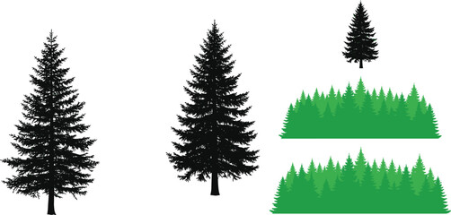 Black and green pine tree silhouettes, spruce forest borders, and coniferous landscape elements for nature graphic designs © MdSaiful