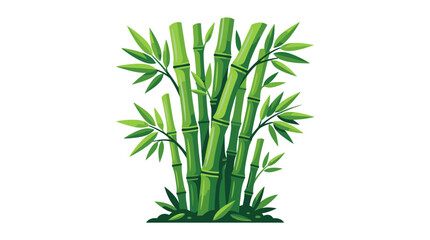 Fototapeta premium Vibrant Green Bamboo Cluster with Tall Stalks.