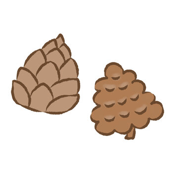 背景透過のもっちり手描きイラスト　11月素材　まつぼっくり