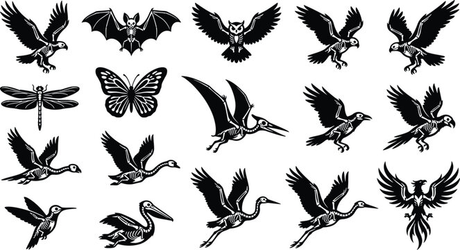 Black and white of african animals, butterflies, and birds butterfly
