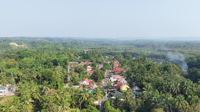 Aerial View of Tropical Village Surrounded by Palm Trees and Dense Green Rainforest Landscape