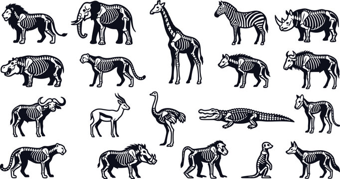 Black and white of various african animals in profile view zebra elephant giraffe