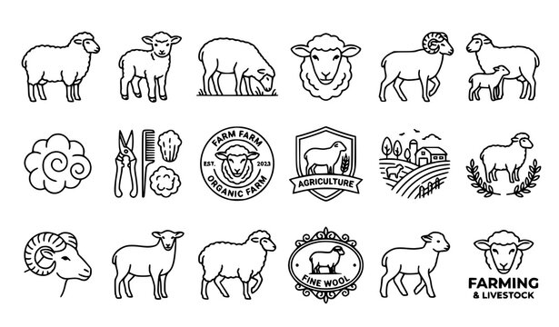 Elegant Sheep Outline Vector Bundle Livestock Editable Stroke Illustration
