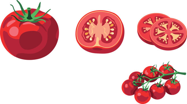 Fresh red tomato vector set featuring whole vegetable half cut round slices and a ripe cherry vine branch for cooking and food design elements