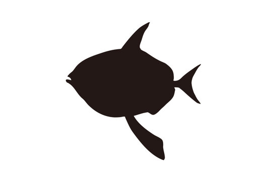 Opah Silhouette Illustration Isolated on White Background