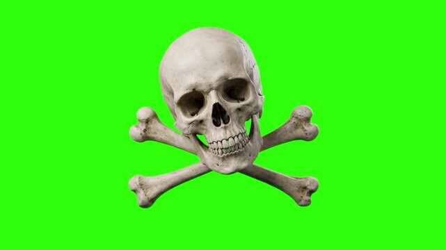A detailed 3D rendering of a human skull with crossed bones positioned underneath. Isolated against a chroma key green screen backdrop, this pirate symbol and danger warning asset is ideal for Hallowe
