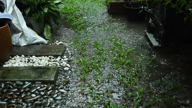 Grass floor has flooding after heavy raining. Heavy rain causes floods when water falls faster than soil can absorb it or drainage systems can carry it away.
