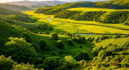 Fototapeta premium Beautiful rolling green hills landscape with golden sunlight at sunset.