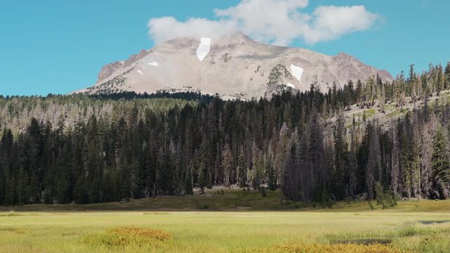Mt. Helen Peak, Pine Tree Forest And Kings Creek Meadow in Lassen Volcanic National Park, California, USA. - wide shot