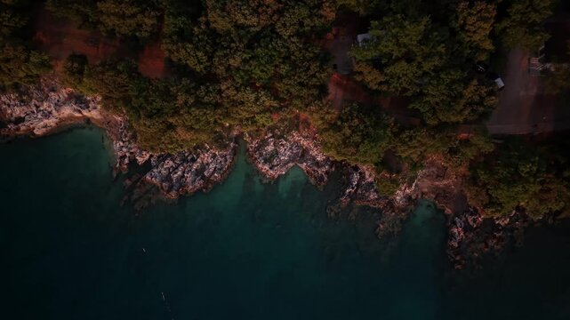Rugged limestone coastline meets turquoise Adriatic water beneath dense pine forest, sunset light gilding treetops near small house and gravel driveway in Istria. Croatia. Aerial drone top down lands