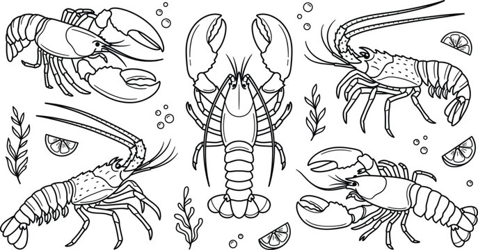 Seafood Lobster and Crayfish Vector Icon Set with Lemon Elements for Restaurant Menu Designs