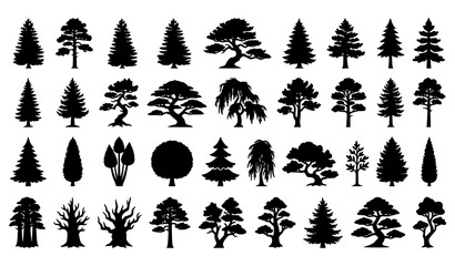 Fototapeta premium Evergreen Pine and Fir Tree Silhouette Icon Collection Black Vector Illustration