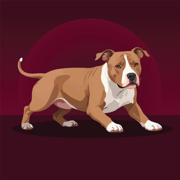 Detailed vector illustration of a strong muscular Pitbull dog standing alert in a low stance against a dramatic dark red circular background, perfect for microstock and pet projects.