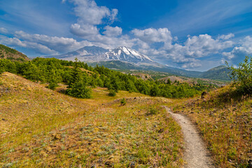 Fototapeta premium Mount St. Helens Trail Landscape