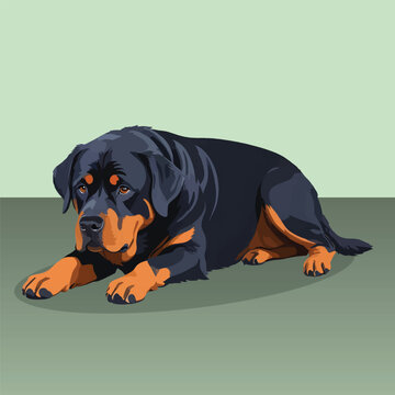 Rottweiler dog vector illustration resting lying down front view black and tan purebred canine pet animal graphic design clipart stock image art isolated background print icon element