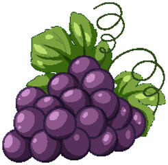 Obraz premium Purple Grape Bunch with Green Leaves and Curly Vines Vector Illustration