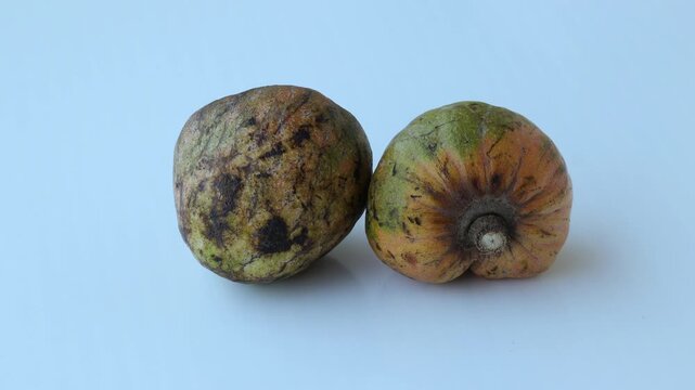 Close-up shot of two ripe custard apple fruits resting on a clean plain surface. Natural green and brown skin patterns highlight the authentic look of raw tropical agriculture.