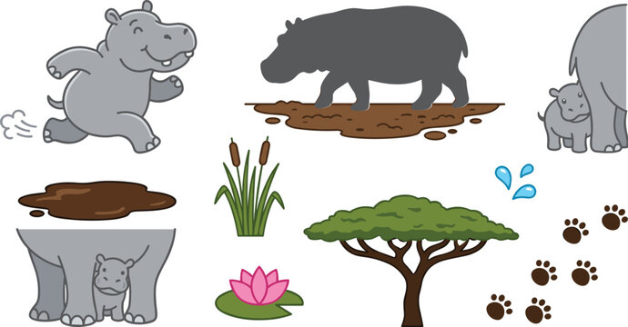 Cute hippopotamus cartoon vector illustration set featuring hippo running silhouette walking in mud baby calf hiding acacia tree and muddy footprints