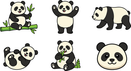 Cute giant panda cartoon character vector illustration set featuring pandas eating bamboo stalks rolling walking waving arms and smiling animal head avatar © MdMahfizur