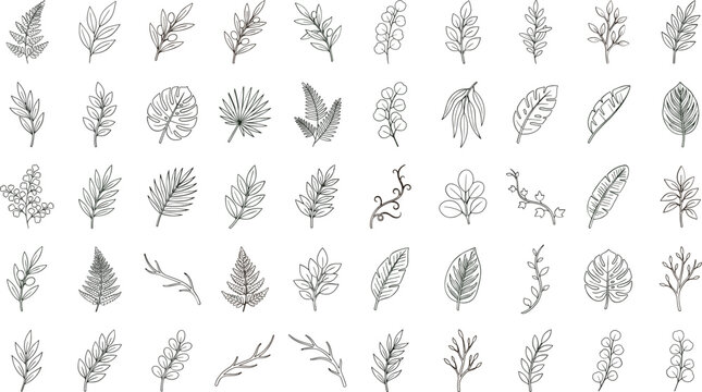 Tropical leaves and botanical branch line icon mega set, line art foliage on white backgroundTropical leaves and botanical branch line icon mega set, line art foliage on white background