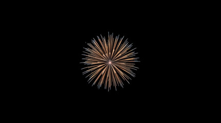 Obraz premium Golden blue fireworks burst, radiant minimalist night explosion, celebratory sparkle