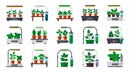 Fototapeta premium Various plants grow in different indoor hydroponic systems on tables.