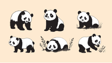 Six pose cartoon panda vector collection, cute black and white animals in various positions, standing, sitting, eating bamboo sprig, rolling, on light peach background © Aryanto