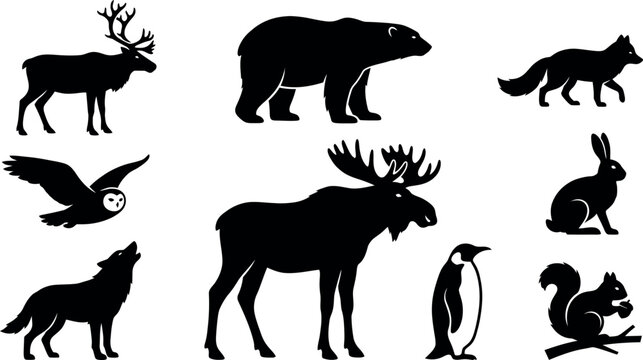 Vector illustration depicting winter animals in a snowy forest setting with trees and wildlife.