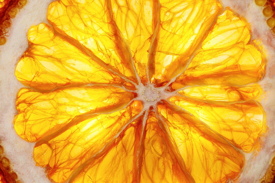 Bright and juicy round orange slice in macro detail. Sunny golden citrus fruit with clear segments, natural food pattern, Summer drink recipes, cocktail garnish, and refreshing food art backgrounds.