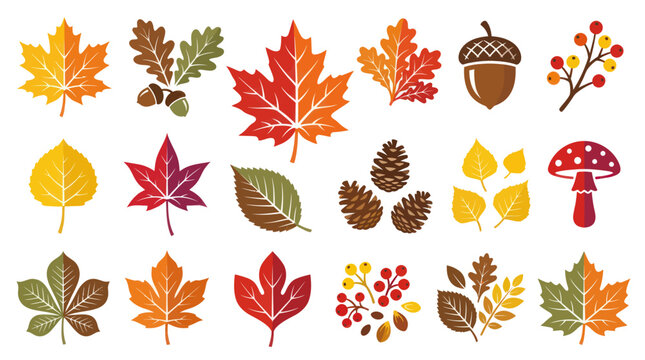 Autumn Nature Seasonal Flat Vector Illustration Icons Set with Fall Leaves, Acorns, Pinecones, Berries, Mushroom