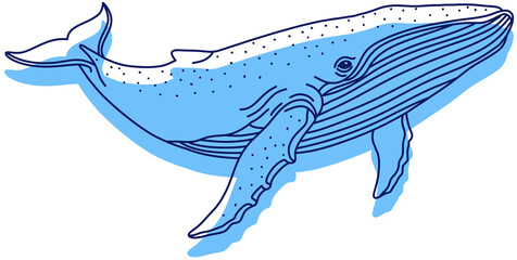 A large and majestic humpback whale (marine mammal), a sketch-style line drawing with a blue silhouette © SasubuArt