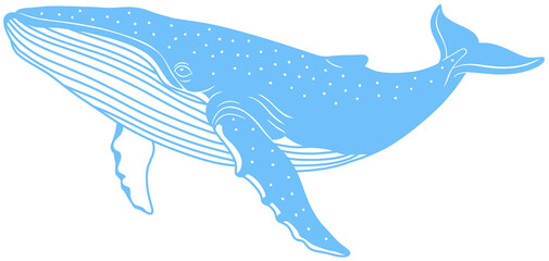A large and majestic humpback whale (marine mammal), blue silhouette image with outlines © SasubuArt