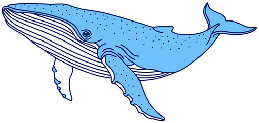 An image of a large and majestic humpback whale, a marine mammal © SasubuArt