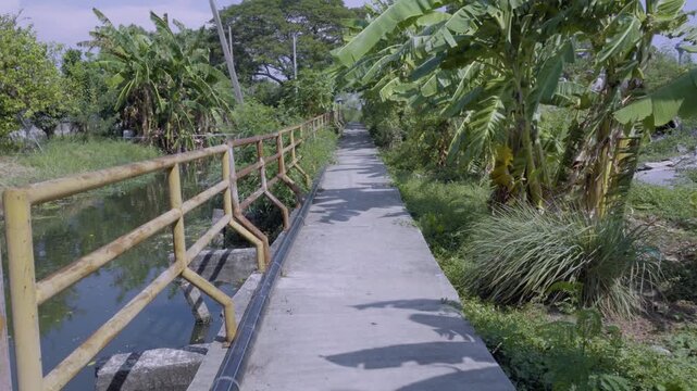 Walkway Along The Canal, rural canal atmosphere in local Thai community, authentic Asian scenery.