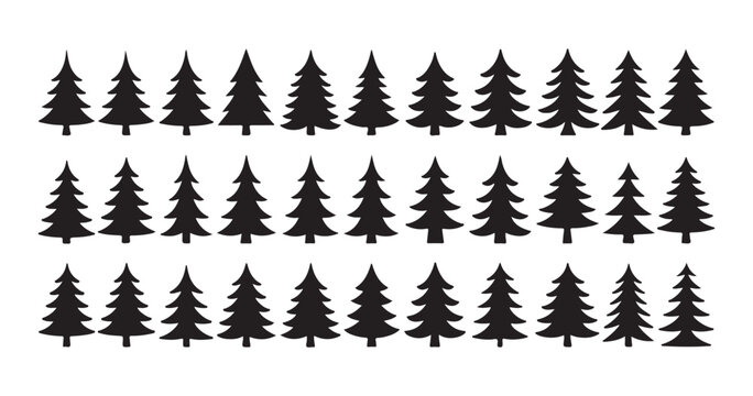 Seamless row of coniferous tree silhouettes creating a forest border for landscape and wilderness design.