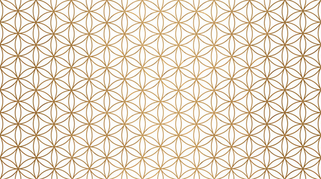 Golden flower of life geometric pattern with intersecting circles for spiritual background and decorative design vector illustration