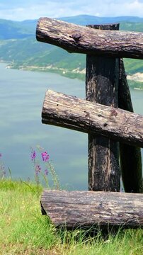 Verbascum phoeniceum L. sways in the wind beside a wooden fence overlooking the Danube River in Djerdap National Park, where the Carpathians and Stara Planina meet.