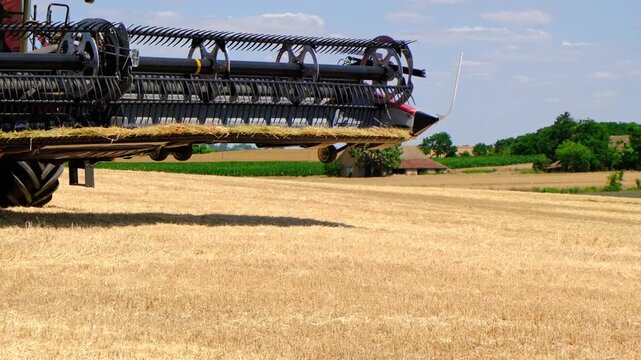 A combine harvester drives through a golden wheat field under a clear blue sky. The landscape features green trees and a distant barn.