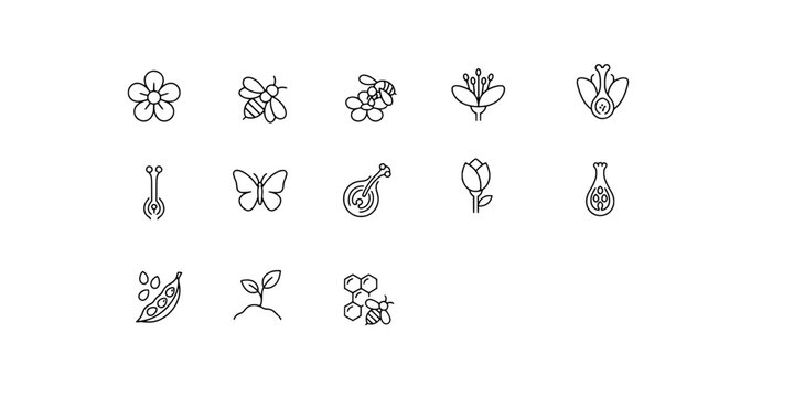 Icon set collection of pollination process and biological reproduction, illustrating the interaction between bees, flowers, and plant growth stages.