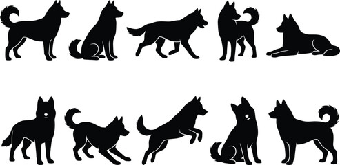 Set of husky or spitz dog silhouettes in different positions. © jim's Cafe
