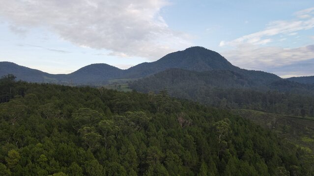 Aerial view of Hutan Pinus Rahong featuring dense pine forest canopy and rolling mountains under a soft sky in Pangalengan, West Java, Indonesia.