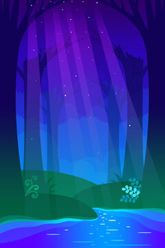 forest in the dark
